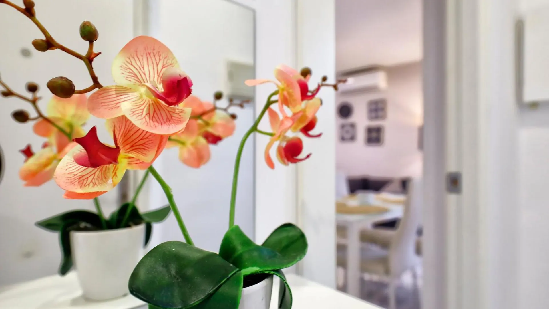 Encanto En La Juderia: Apartamento Con Patio Cordoba Apartment